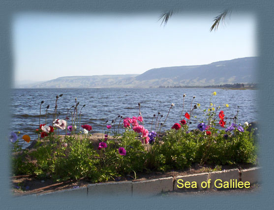 THE SEA OF GALILEE